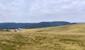 Randonnée Marche Servance-Miellin - 2019-08-06 Marche Ballon Servance Ballon Alsace - Photo 3