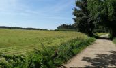 Trail Walking Court-Saint-Étienne - La Roche-Sart Messire Guillaume-La Roche - Photo 19