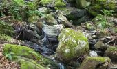 Trail Walking Aulus-les-Bains - Cascade de Fouillet Ariége - Photo 10