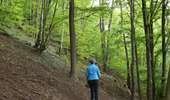 Trail Walking Chaudfontaine - 20220427 - TOTEMUS Embourg 3.8 Km - Photo 15