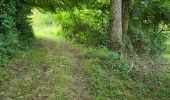 Percorso Marcia Nogent-le-Bernard - Nogent-le-Bernard - Menhir de Courtevrais - Photo 1