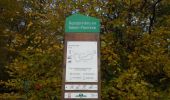 Trail Walking Orival - 20221117-Les Essarts  - Photo 2