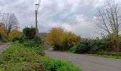 Randonnée Marche Liège - entre ourthe et lande (privatisée) - Photo 11