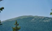 Tour Wandern Saint-Agnan-en-Vercors - Les Rancs de Charles - Vercors - La Coche - Photo 15