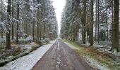 Percorso Marcia Waimes - Extratrail de Malmedy 🥾 - Photo 5