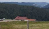 Tour Wandern Woll - Le Hohneck cool - Photo 8