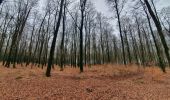 Trail Walking Libramont-Chevigny - rando laneuville(libramont)18/02/2021 - Photo 5