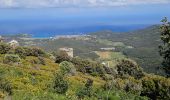 Tour Wandern Rogliano - les hauts de ruglianu - Photo 1