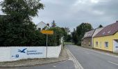 Excursión A pie Unterspreewald - Wanderweg Richting Leibsch - Photo 4