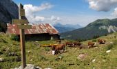 Tour Wandern Samoëns - Les Allamands lac des Verdets - Photo 3