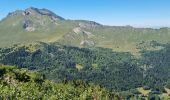 Tour Wandern Les Gets - MONT CALY MONT CHERY LES GETS 8 JUILLET 2022 - Photo 2