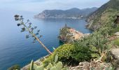 Excursión Senderismo Vernazza - Corniglia Monterosso  - Photo 10