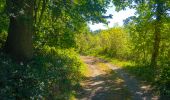 Trail On foot Kortessem - Zammelen Blauwe ruit - Photo 1