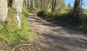 Randonnée Marche Boursay - Boursay - Le Moulin des Gaults - Photo 13