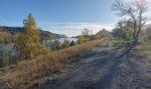 Randonnée Marche Châteauneuf-du-Rhône - Châteauneuf : Les Iles du Rhône 9km - Photo 2