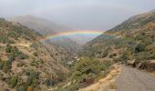 Tocht Te voet Capileira - Acequias del Poqueira - Photo 1