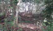 Excursión Senderismo Le Robert - Pointe Savane plage des Resignier - Photo 18