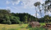 Tour Zu Fuß Siegbach - Extratour Hohe Straße - Photo 5