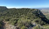 Randonnée Marche Pourrières - Pourcieux :Mont Olympe et Pas du Titet - Photo 20