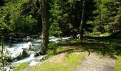 Randonnée Marche Vallorcine - Refuge de Pierre à Berard - Photo 4