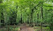 Trail Walking Voeren - A la dÃ©couverte de De Planck avec Koda ð¥¾ð - Photo 2