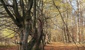 Tocht Te voet Bad Lippspringe - Rundwanderweg A3 [Bauernkamp] - Photo 10