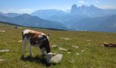 Randonnée Marche Urtijëi - St. Ulrich in Gröden - Ortisei - Raschötz Alm - Photo 18