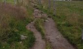 Excursión Senderismo Orbey - Tour des 3 lacs (lac noir, blanc, Forlet) Vosges - Photo 1