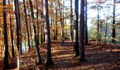 Tocht Te voet Deutschlandsberg - Weinberg-Rundweg - Photo 6