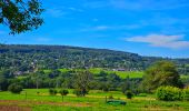 Trail Walking Durbuy - Balade à Villers Sainte Gertrude - Photo 7