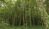 Tour Wandern Combrit - Bois de Rescoure. Pont l'abbé. 15/07/20. - Photo 6