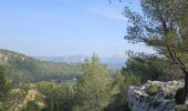 Trail Walking Roquefort-la-Bédoule - Roquefort la Bédoule - Photo 14