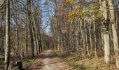 Percorso A piedi Žernov - NS Jakuba Míly - Photo 4