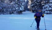 Trail Cross-country skiing Gex - Sonnaillyais - Photo 14