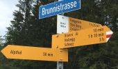 Percorso A piedi Alpthal - Brunni - Muesliegg - Photo 7