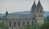 Tour Zu Fuß Ohlweiler - Traumschleife Domblick - Photo 6