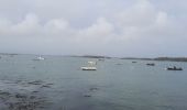 Tocht Stappen Locmariaquer - PR_56_Locmariaquer_AA_01_Entre-Golfe-Et-Ocean_Circuit1b_20220217 - Photo 4