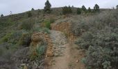 Trail On foot Granadilla de Abona - SL-TF 242 Circular Las Vegas - Photo 8
