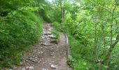 Tour Zu Fuß Craven - Ingleton Waterfalls Trail - Photo 9