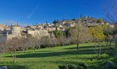 Excursión Senderismo Mirmande - Mirmande les Balcons du Rhône 12 km. - Photo 6