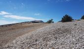 Excursión Senderismo Bédoin - le ventoux - Photo 2