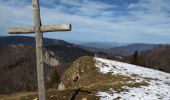 Trail Walking Apremont - Mont Joigny, pte de la Georgat, la Lentille, le GD Carroz - Photo 7