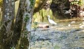 Trail Walking Valbonne - garbejaire aqueduc romain biot brague - Photo 1