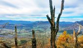 Trail Walking Melve - 20191126_Melve Tête de Boursier - Photo 6