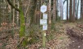 Trail Walking Nassogne - Masbourg 250124 - Photo 14