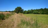 Tour Wandern Saché - Saché - Goupillières - 14.8km 185m 3h40 - 2022 07 10 - Photo 7