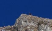 Percorso Sci alpinismo Mieussy - CHAVASSE + CHAVAN+ HTE POINTE - Photo 4