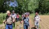 Trail Walking Lembeye - LEMBEYE Le chemin de la ligne LLD