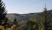 Randonnée Marche Saint-Maurice-sur-Moselle - Rouge Gazon - Lacs des Perches et du Neuweiher - Col des Charbonniers  - Photo 12