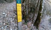 Trail Walking Choranche - La cascade et la grotte de Gournier - Photo 2